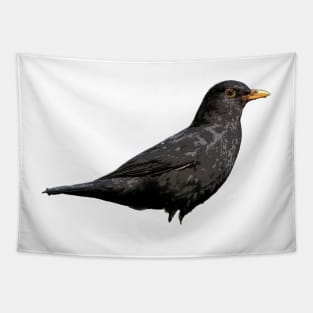 Blackbird Tapestry