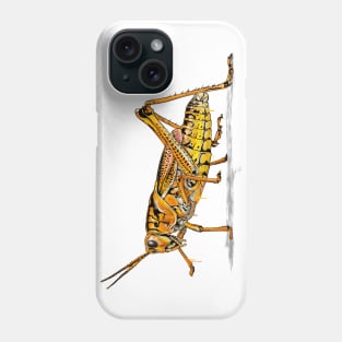 SPRAY SALTAMONTE Phone Case