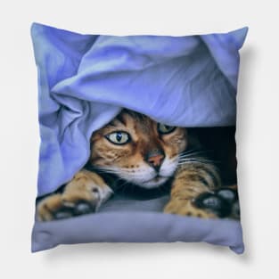 Katze im Nest / Swiss Artwork Photography Pillow