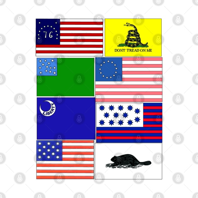 Flags of the Revolution Back Print by Aeriskate