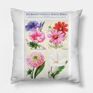 Flower watercolor illustration (1915) Pillow