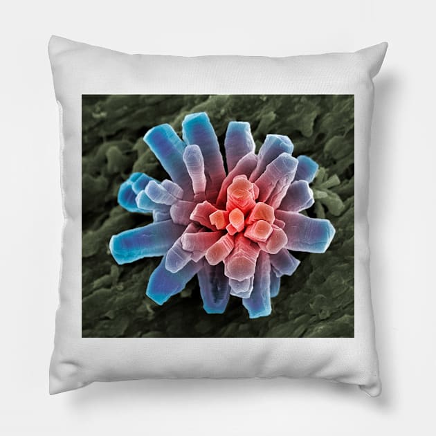 Calcium phosphate crystal, SEM (A600/0865) Pillow by SciencePhoto