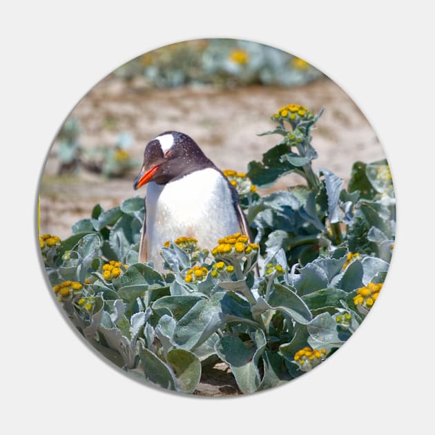 GARDENING PENGUIN Pin by NATURE WILD