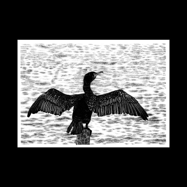 Great cormorant by lorendowding