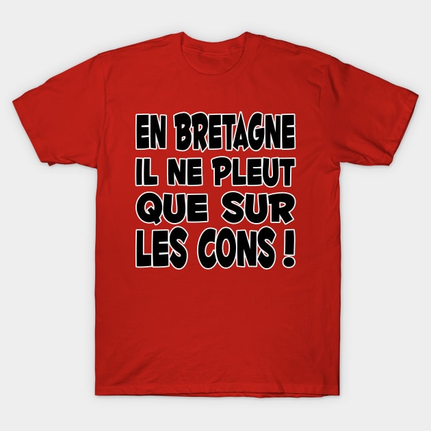 en Bretagne Il Ne Pleut Que Sur Les Cons T-Shirt