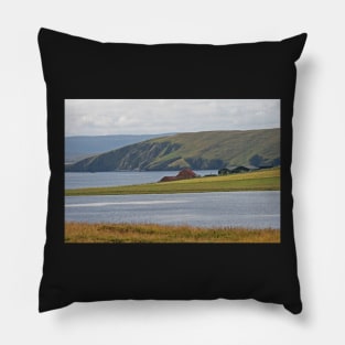 Shetland Pillow