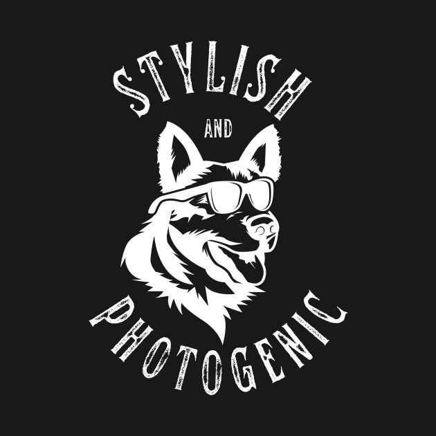 Stylish and Photogenic by TextureMerch