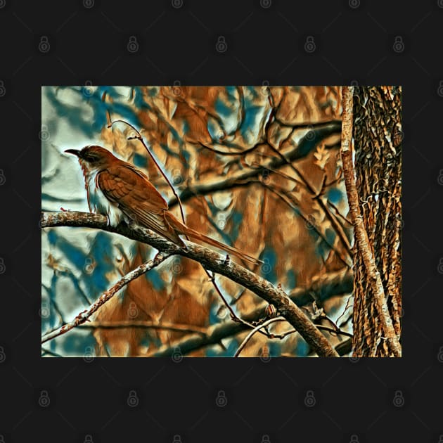 Black Billed Cuckoo by MaryLinH