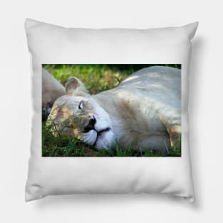 Sleeping White Lion Pillow