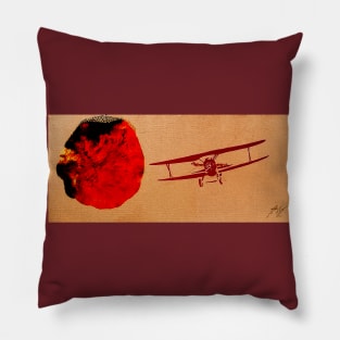 Flying Past an Anomaly -1 Pillow
