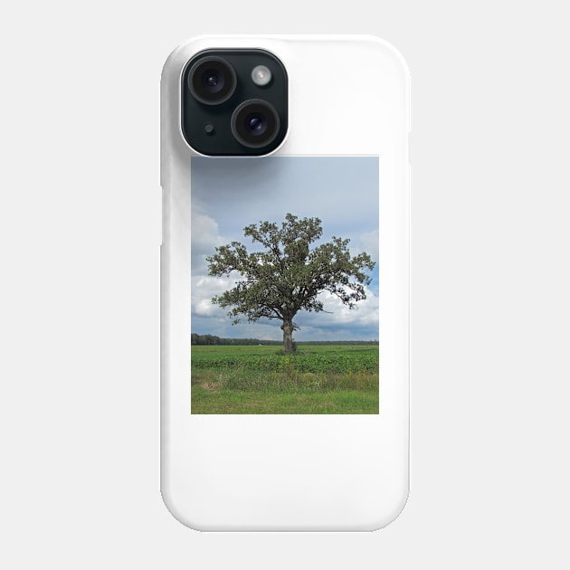 Single Tree In The Wide Open Fields Phone Case by Cynthia48