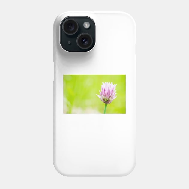 Chives Phone Case by ansaharju