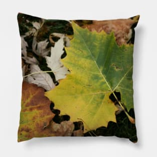 Fallen Leaf Pillow