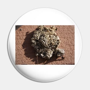 Wasp Nest Pin