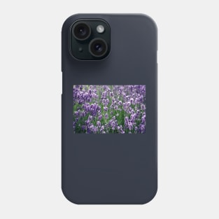 Violet flower fields Phone Case