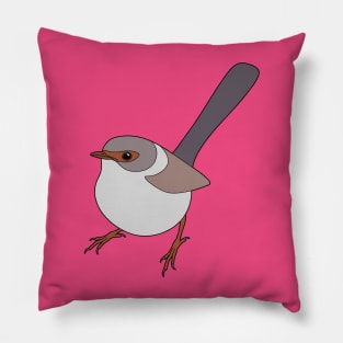 Female Superb Fairy Wren Pillow