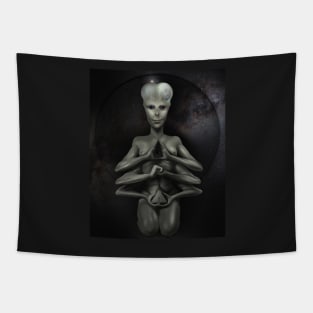 Alfa alien universe builder Tapestry