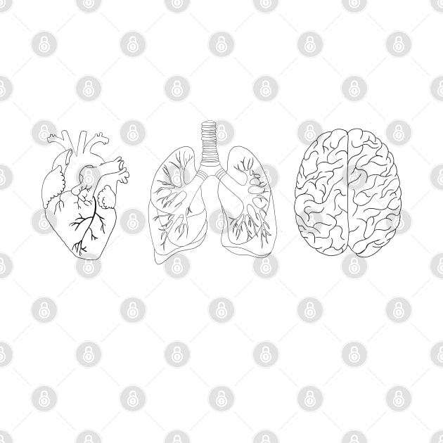 Anatomy heart brain, lung by Carries Design 