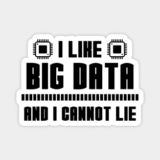 I Like Big Data And I Cannot Lie Magnet