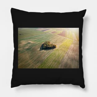 Heart of a nature Pillow