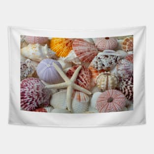 White Starfish With Sea Urchins Tapestry