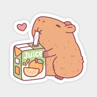 Cute Capybara Loves Orange Juice Magnet