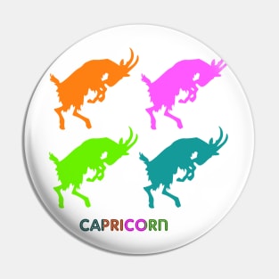 Capricorn Pin