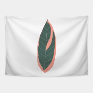 Stromanthe Triostar Leaf Tapestry