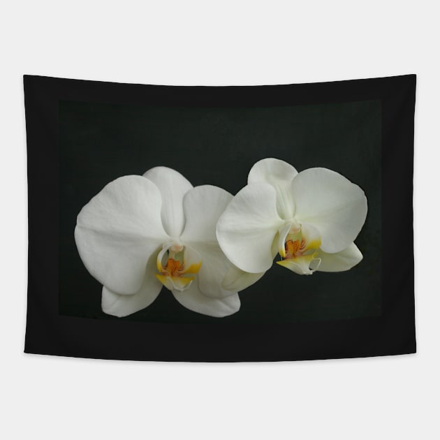 My New Orchid Tapestry by Michaelm43