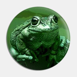 Little Green Frog Pin