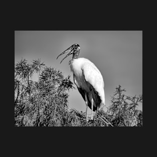 Speaking Stork in Black and White T-Shirt