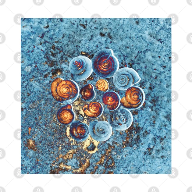 Snail Shells- Turquoise by Shanzehdesigns