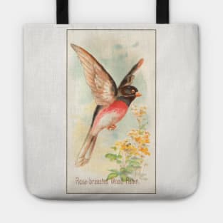 Rose-Breasted Wood Robin Tote