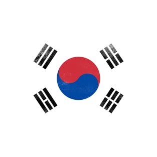 South Korea Republic Flag T-Shirt