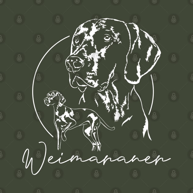 Weimaraner dog portrait by wilsigns