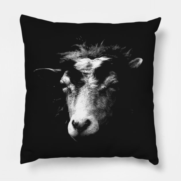 sheep Pillow by hottehue