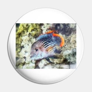 Fish -  Rainbowfish Pin