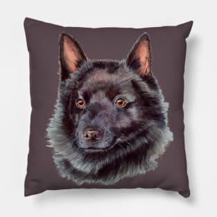 Schipperke Pillow