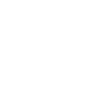 Dandy Lions Magnet