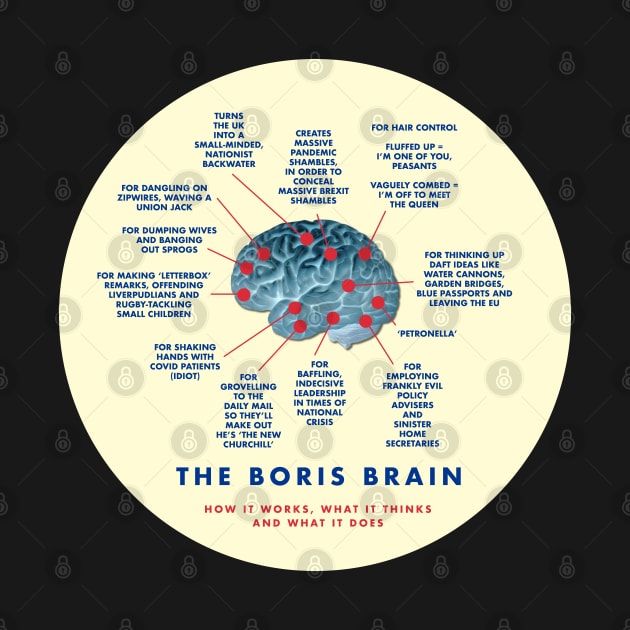 THE BORIS BRAIN - HOW IT WORKS, WHAT IT THINKS AND WHAT IT DOES by CliffordHayes