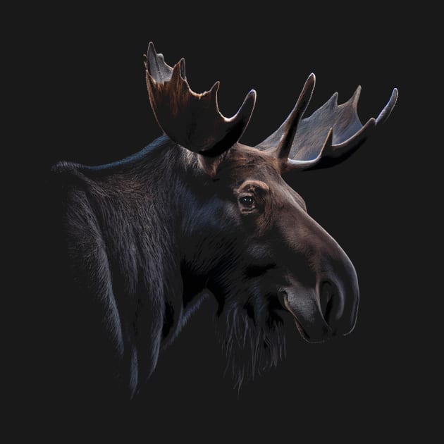 Majestic Moose Stunning Portrait by TruckerJunk