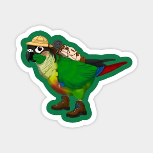 Adventure Conure Magnet