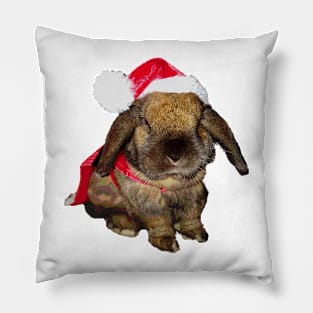 Holiday Rabbit Santa Claus Pillow