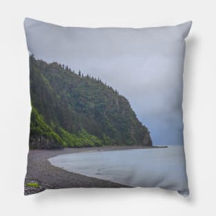 Alaska. Kenai Fjords National Park. Fox Island. Shore. Pillow