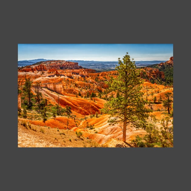 Bryce Canyon National Park by Gestalt Imagery