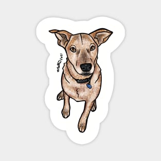 Mac — Dogs of Redstone, Colorado Magnet