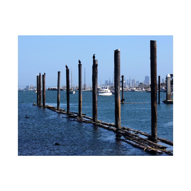 Sausalito Pile Moorings. San Francisco Bay Area by IgorPozdnyakov