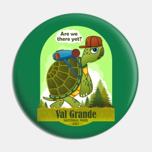 Funny Turtle, Val Grande National Park, Italy, Are We There Yet Pin