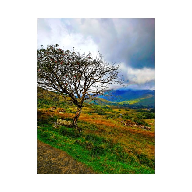 The Ladies View, Ring of Kerry by BrianPShaw