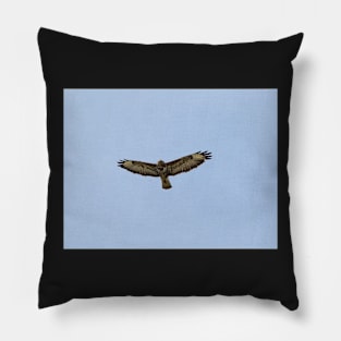 Hawk gliding on blue sky background Pillow